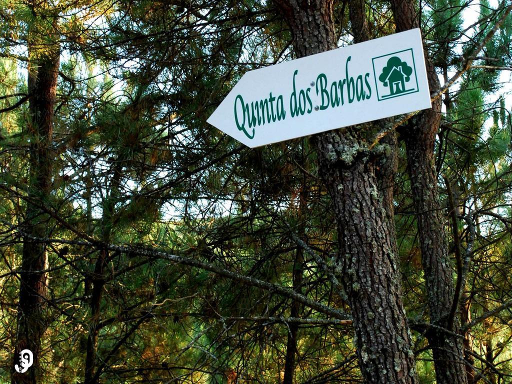Quinta Dos Barbas Pensionat Oliveira do Hospital Eksteriør billede